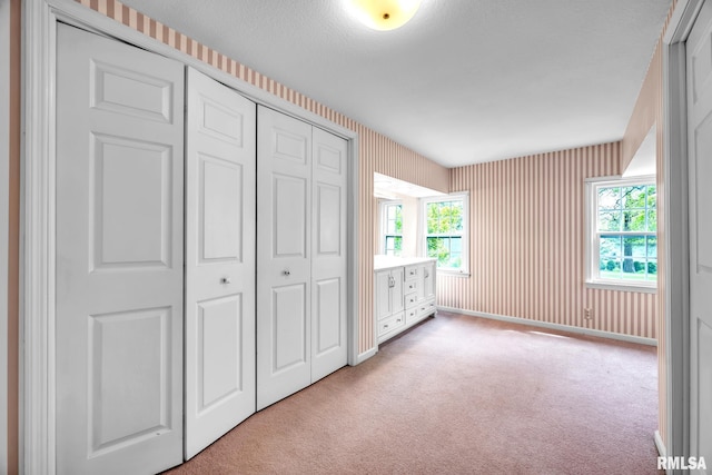 2255 N Broad St, Galesburg, IL 61401 - unfurnished bedroom featuring carpet floors, a closet, and multiple windows
