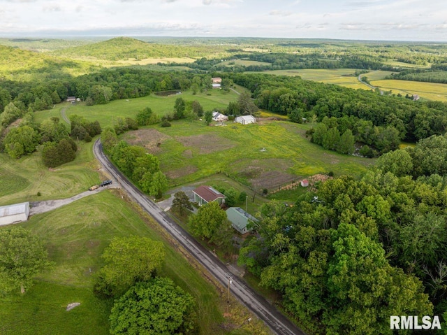 1460 Rushing Rd, Simpson, IL 62985 - view of property location featuring rural landscape