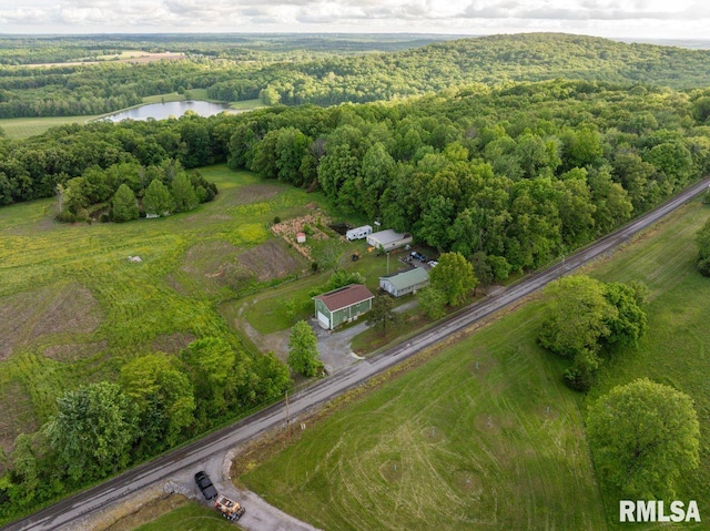 1460 Rushing Rd, Simpson, IL 62985 - aerial view of property and surrounding area featuring a nearby body of water and a forest