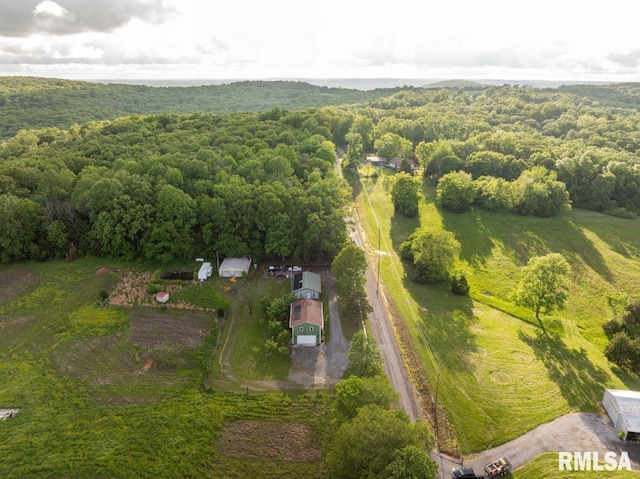 1460 Rushing Rd, Simpson, IL 62985 - drone / aerial view of a heavily wooded area