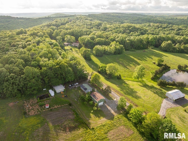 1460 Rushing Rd, Simpson, IL 62985 - aerial view of sparsely populated area featuring a forest