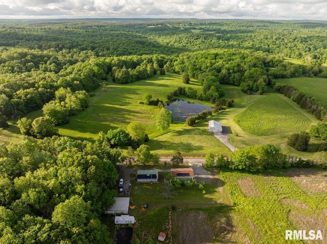 1460 Rushing Rd, Simpson, IL 62985 - aerial view of a forest and a nearby body of water
