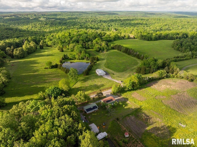 1460 Rushing Rd, Simpson, IL 62985 - aerial overview of property's location with a heavily wooded area and a nearby body of water