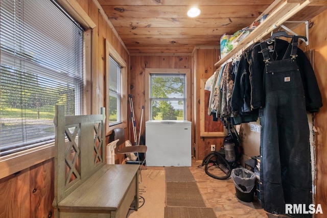 1460 Rushing Rd, Simpson, IL 62985 - laundry area with wooden ceiling and wooden walls
