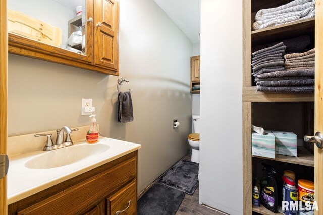 1460 Rushing Rd, Simpson, IL 62985 - half bath featuring toilet, vanity, and wood finished floors
