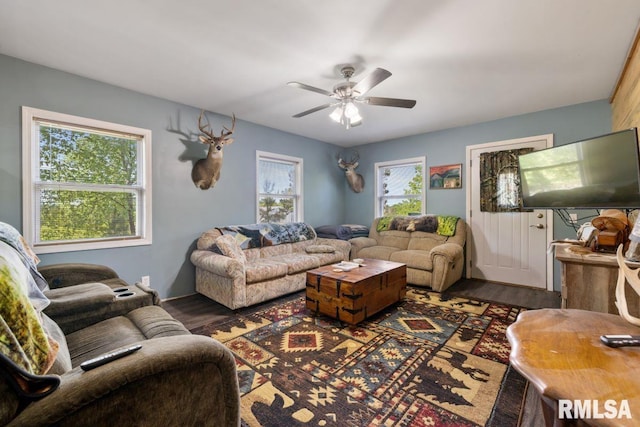 1460 Rushing Rd, Simpson, IL 62985 - living area with wood finished floors and a ceiling fan