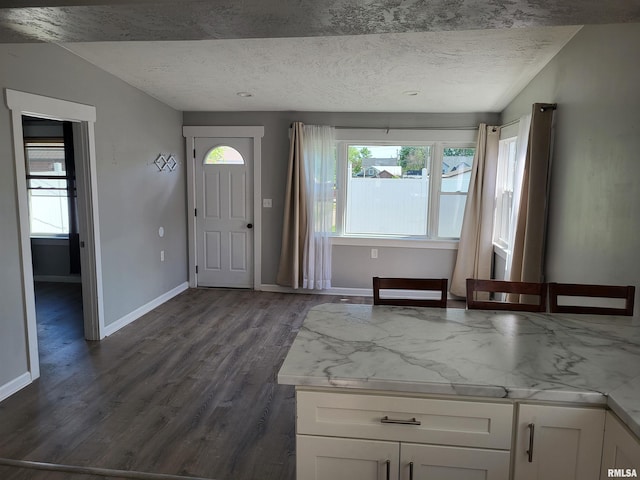 718 Adams St, Quincy, IL 62301 - foyer entrance with dark wood-style floors, baseboards, and a textured ceiling
