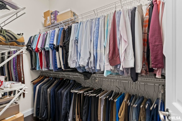 4901 Wildcat Run, Springfield, IL 62711 - view of spacious closet