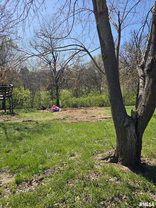 1522 Rim Rd, Quincy, IL 62305 - view of yard