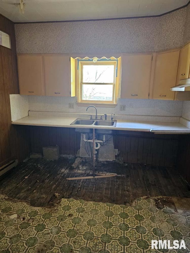 300 W Prairie St, Camp Point, IL 62320 - kitchen featuring a sink, light countertops, under cabinet range hood, and hardwood / wood-style floors