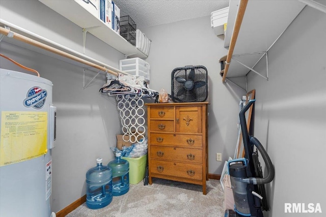 160 S Durkin Dr Unit 11, Springfield, IL 62704 - walk in closet with water heater and carpet floors