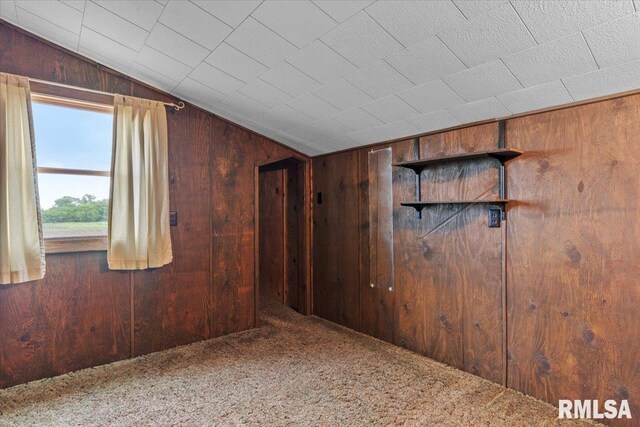 34831 Greenland Rd, Virden, IL 62690 - spare room featuring wood walls, vaulted ceiling, and carpet flooring