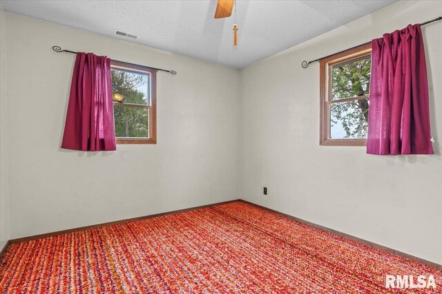 34831 Greenland Rd, Virden, IL 62690 - empty room featuring carpet, plenty of natural light, a ceiling fan, and a textured ceiling