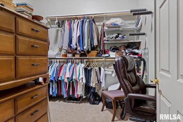4 Nightingale Dr, Springfield, IL 62711 - walk in closet with carpet