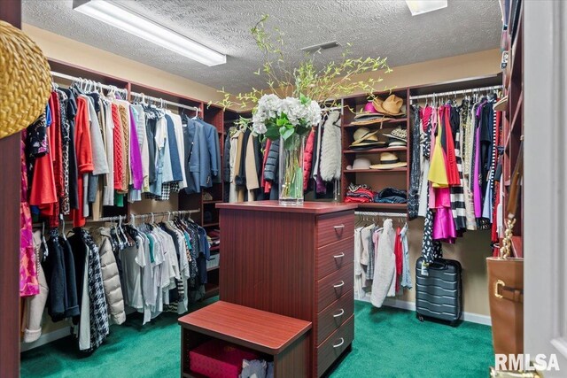 505 Clipper Rd, Springfield, IL 62704 - spacious closet featuring carpet