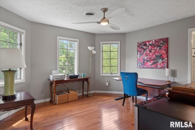 505 Clipper Rd, Springfield, IL 62704 - office space with ceiling fan, healthy amount of natural light, light wood-style floors, baseboards, and a textured ceiling