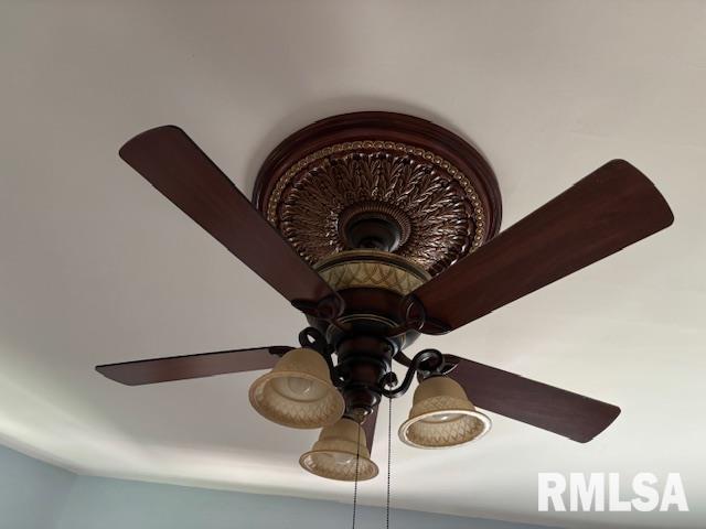 412 Pine St, Greenfield, IL 62044 - detailed view