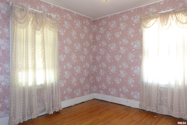 345 Division St, Galesburg, IL 61401 - spare room featuring wood finished floors and ornamental molding