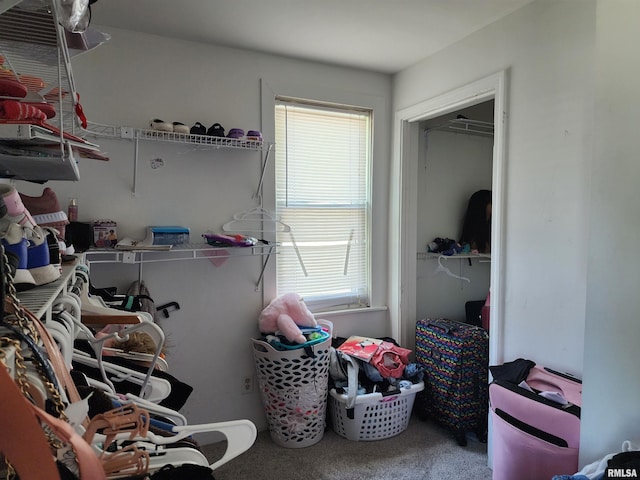 spacious closet featuring carpet