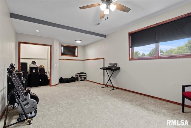 1 Sarah Ln, Kincaid, IL 62540 - photo 37