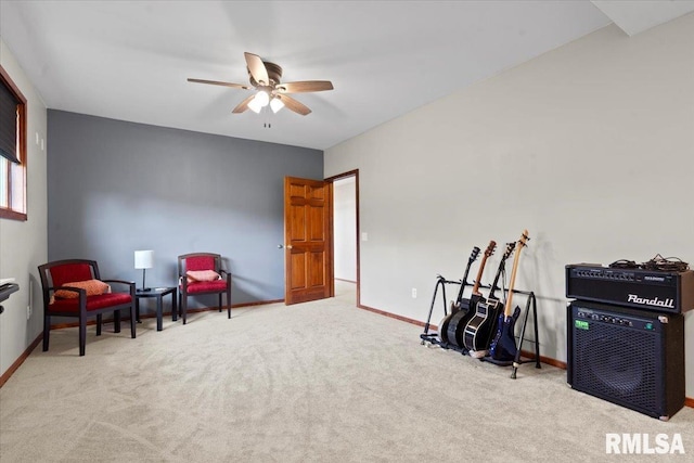 1 Sarah Ln, Kincaid, IL 62540 - photo 38