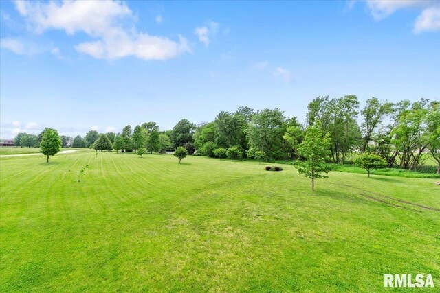 1 Sarah Ln, Kincaid, IL 62540 - photo 42