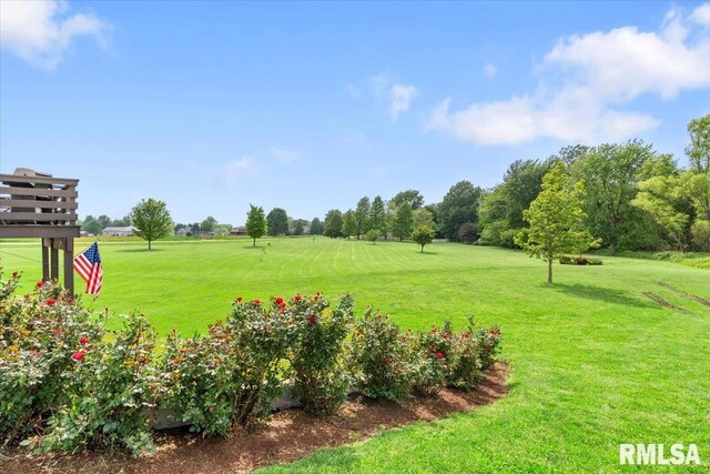1 Sarah Ln, Kincaid, IL 62540 - photo 43