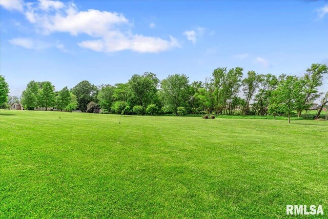 1 Sarah Ln, Kincaid, IL 62540 - photo 44