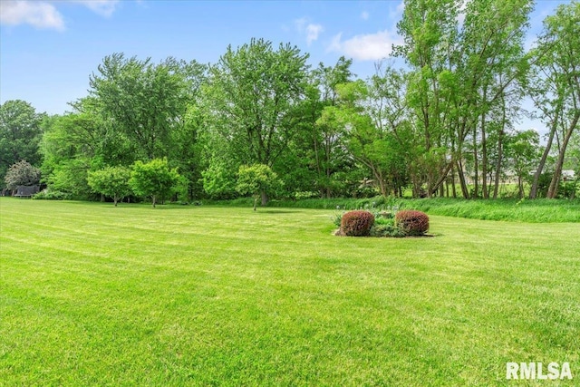 1 Sarah Ln, Kincaid, IL 62540 - photo 47