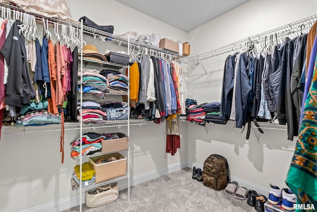 1915 Parthenon Ct, Chatham, IL 62629 - spacious closet with carpet
