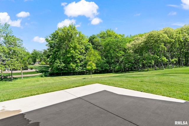 1915 Parthenon Ct, Chatham, IL 62629 - view of patio