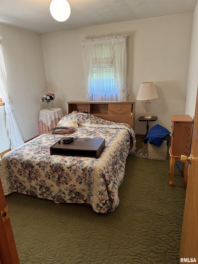 845 E Main St, Havana, IL 62644 - bedroom featuring carpet
