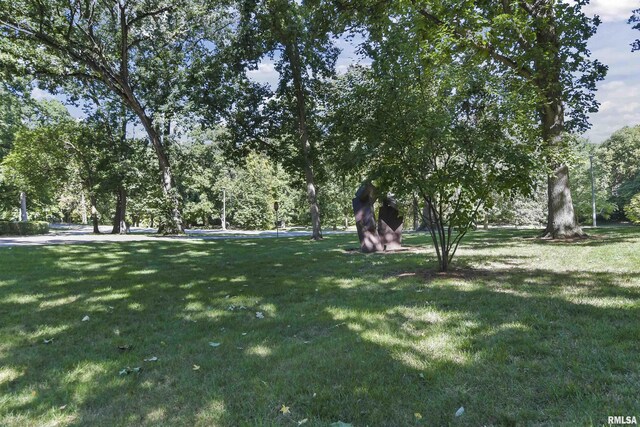 view of green lawn