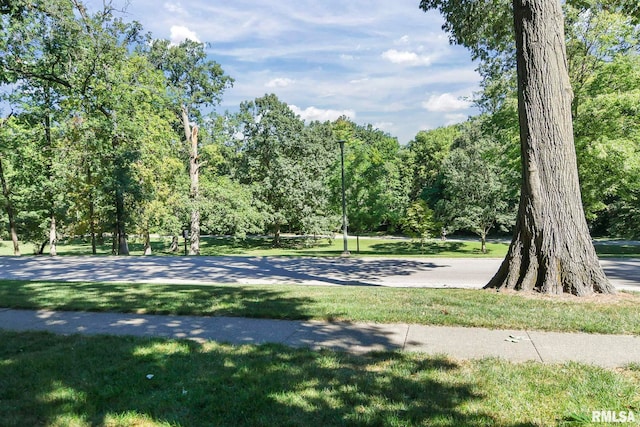 surrounding community featuring a yard