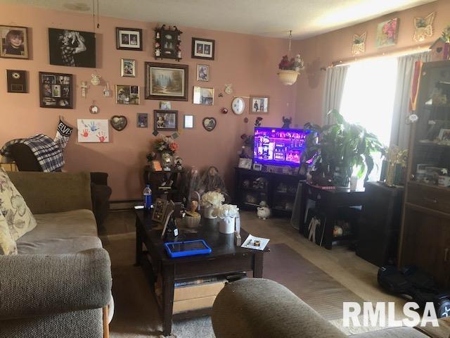 101 Cottage Ln, Murrayville, IL 62668 - view of living area
