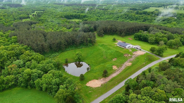 142 Oak Rd, Harrisburg, IL 62946 - drone / aerial view of a large body of water and a forest