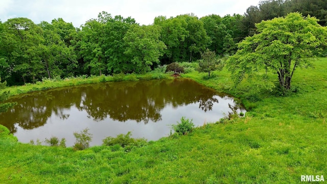 142 Oak Rd, Harrisburg, IL 62946 - water view featuring a heavily wooded area