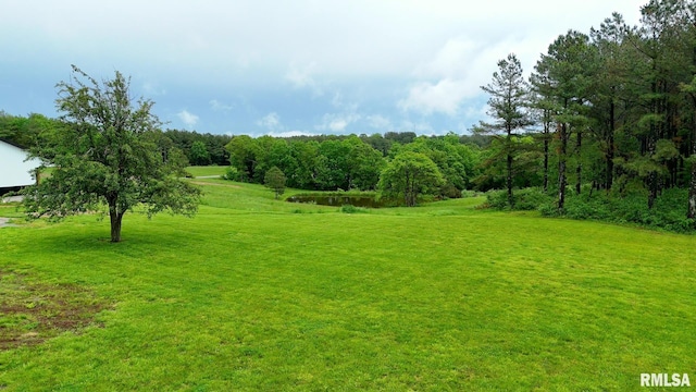 142 Oak Rd, Harrisburg, IL 62946 - view of green lawn