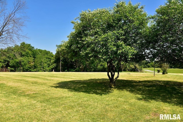 7059 Midway Rd, Metropolis, IL 62960 - view of grassy yard