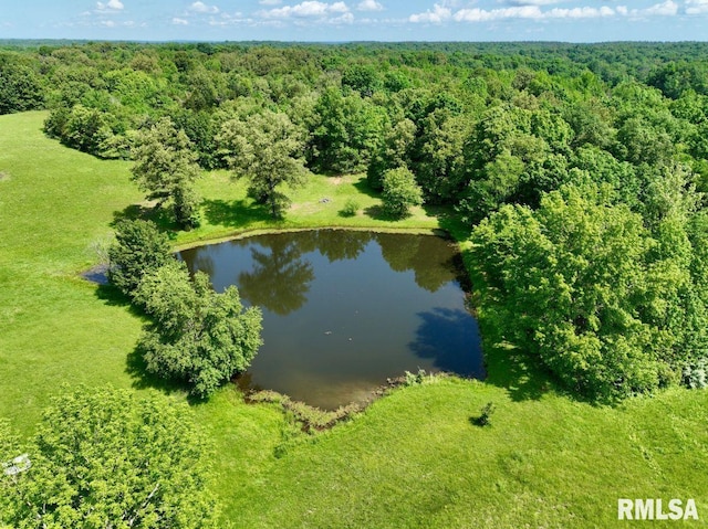 7059 Midway Rd, Metropolis, IL 62960 - drone / aerial view of a nearby body of water and a heavily wooded area