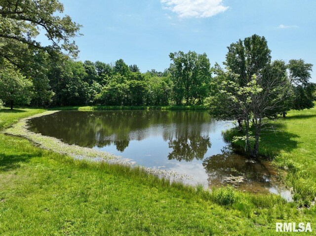 7059 Midway Rd, Metropolis, IL 62960 - water view featuring a heavily wooded area