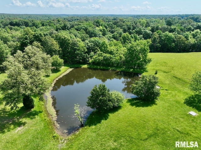 7059 Midway Rd, Metropolis, IL 62960 - bird's eye view of a nearby body of water and a heavily wooded area