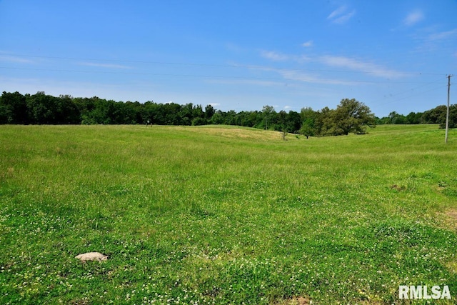 7059 Midway Rd, Metropolis, IL 62960 - view of local wilderness featuring rural landscape