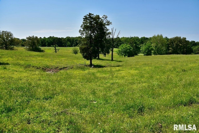 7059 Midway Rd, Metropolis, IL 62960 - view of yard with a rural view