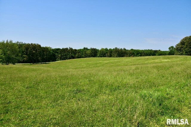 7059 Midway Rd, Metropolis, IL 62960 - view of local wilderness with rural landscape
