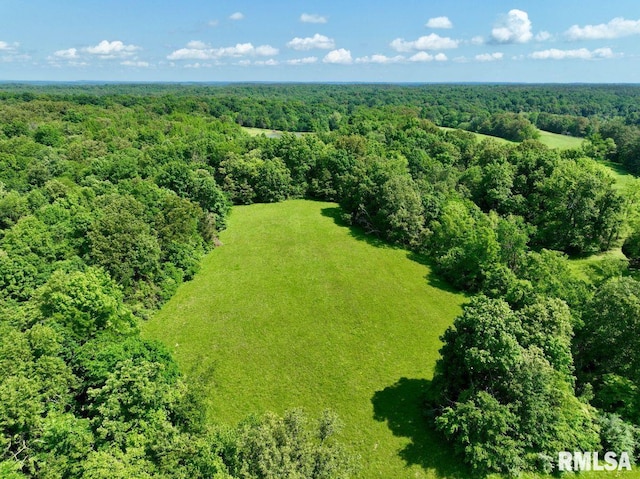 7059 Midway Rd, Metropolis, IL 62960 - aerial view of a heavily wooded area