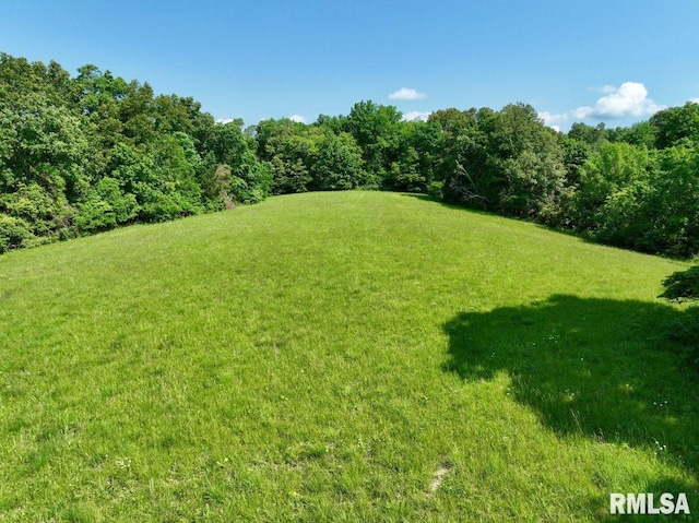 7059 Midway Rd, Metropolis, IL 62960 - view of grassy yard