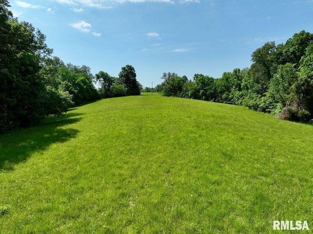 7059 Midway Rd, Metropolis, IL 62960 - view of green lawn