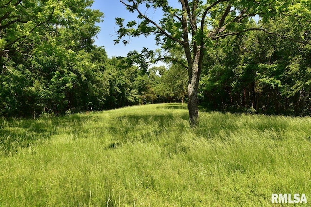 7059 Midway Rd, Metropolis, IL 62960 - view of wooded area