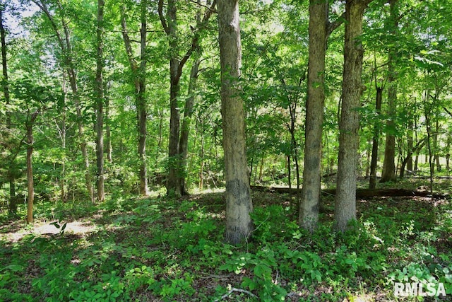 7059 Midway Rd, Metropolis, IL 62960 - view of wooded area
